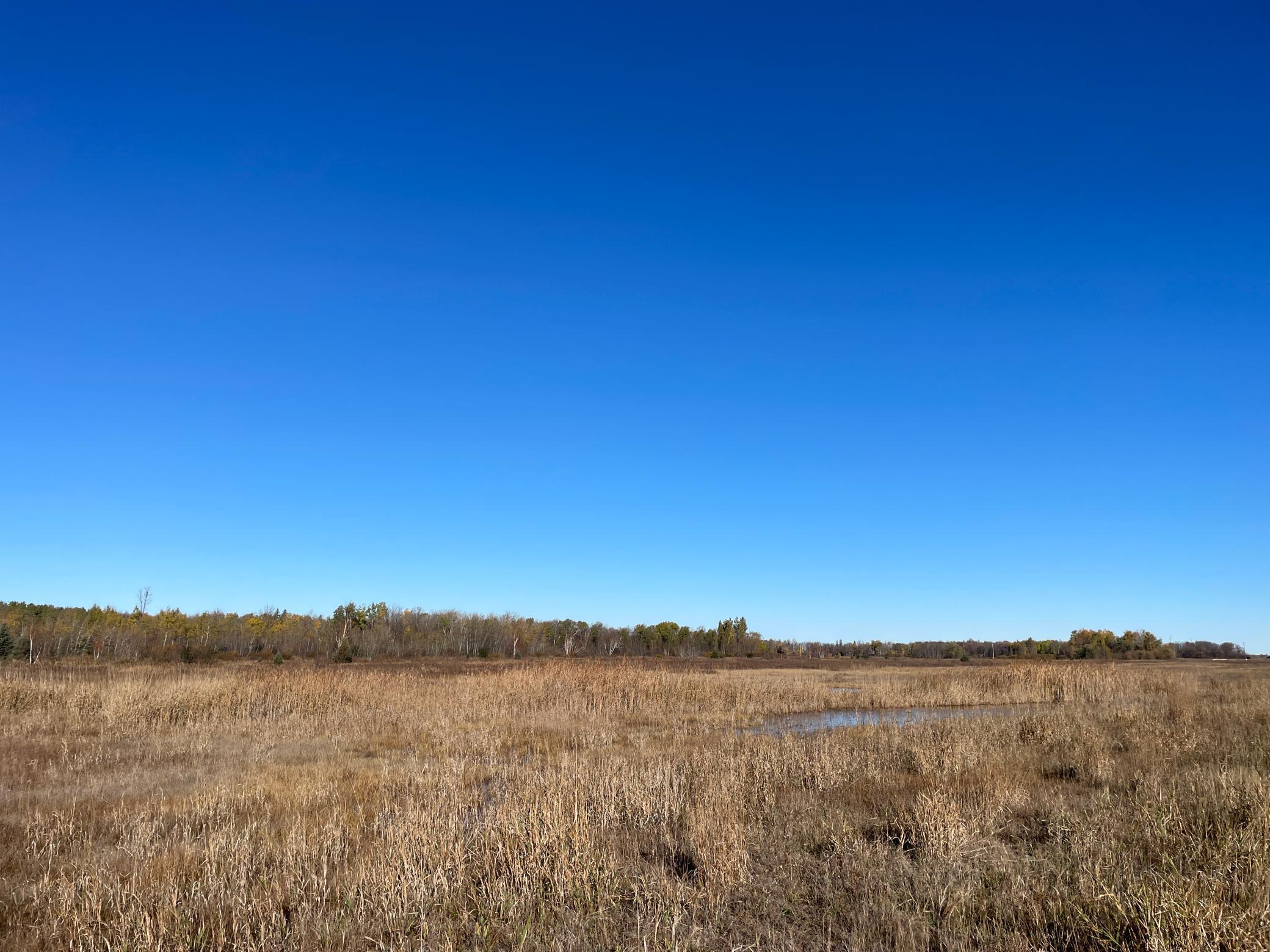 Tbd Tbd 380th Street Newfolden, MN 56738 - Photo 33 of 54