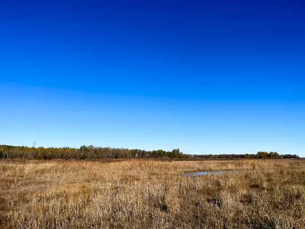 $78,400 | Tbd 380th Street Northwest, Newfolden, MN 56738