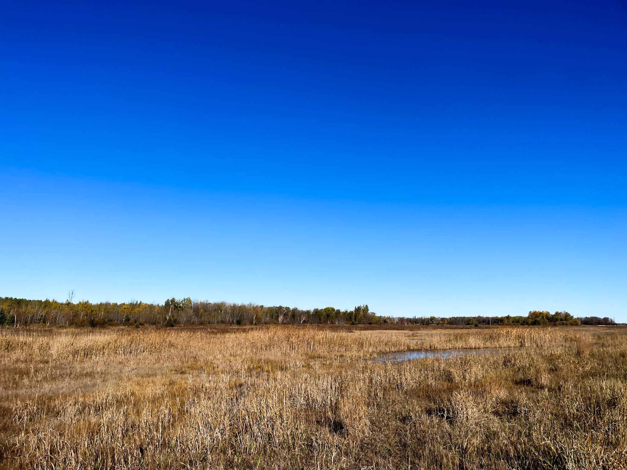 Tbd 380th Street Northwest Newfolden, MN 56738 - Photo 33 of 54