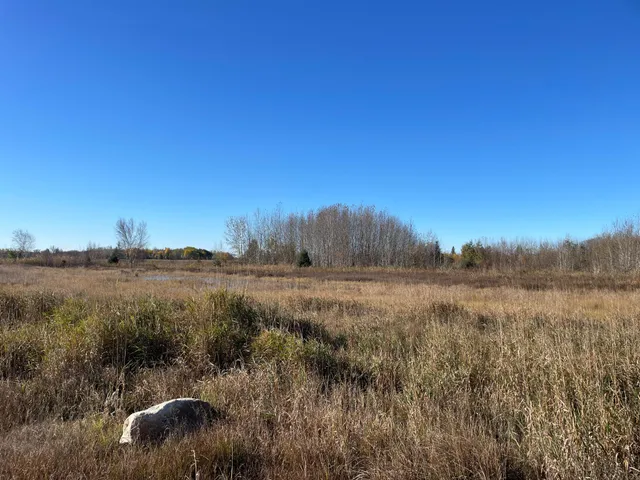 $78,400 | Tbd Tbd 380th Street, Newfolden, MN 56738