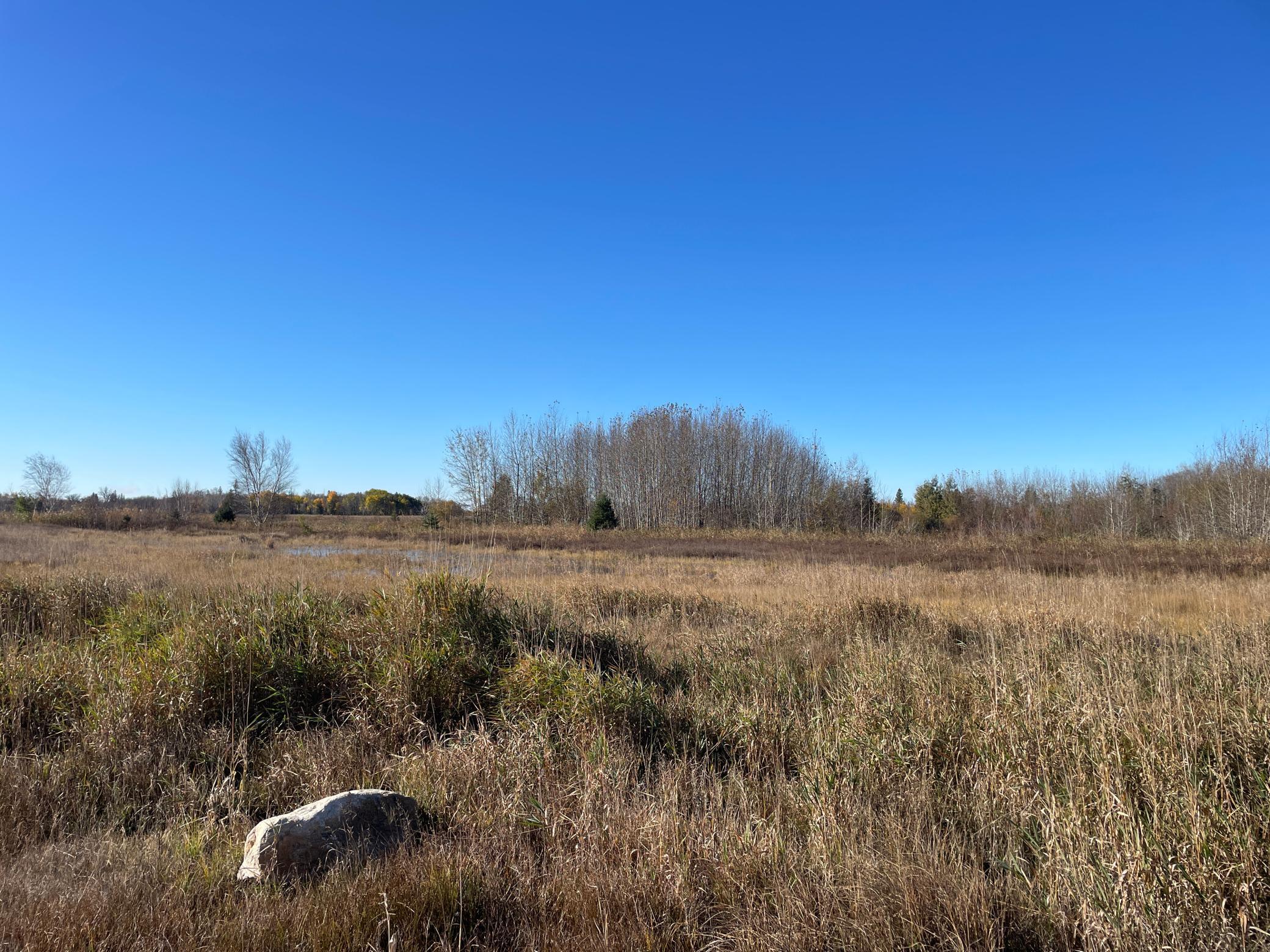 Tbd Tbd 380th Street Newfolden, MN 56738 - Photo 34 of 54