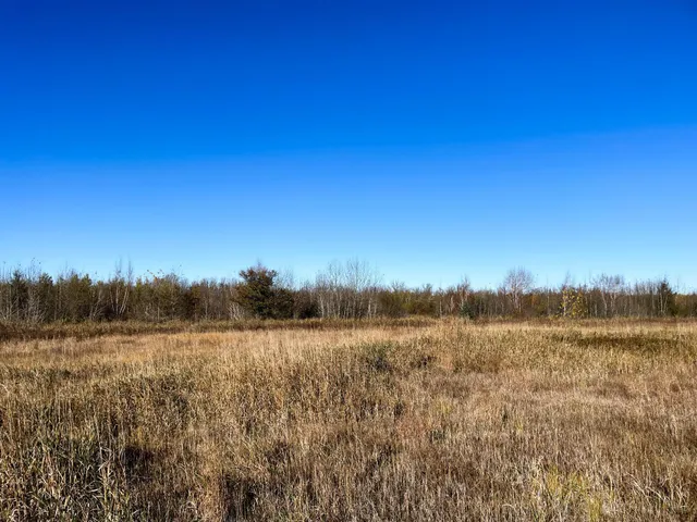 $78,400 | Tbd 380th Street Northwest, Newfolden, MN 56738
