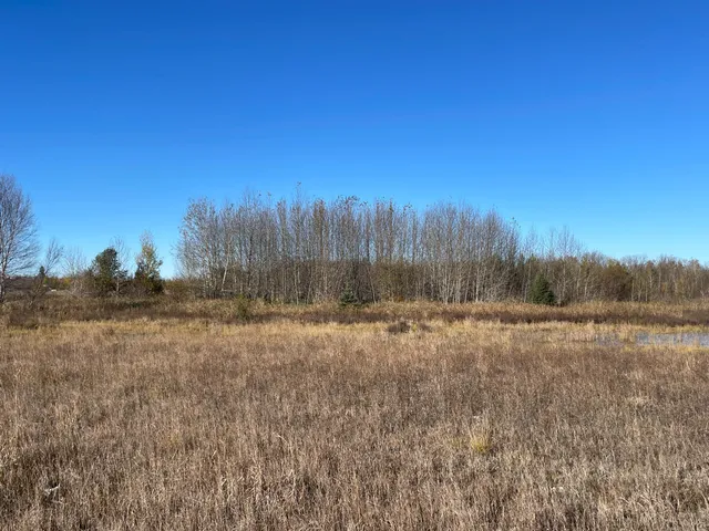 $78,400 | Tbd Tbd 380th Street, Newfolden, MN 56738