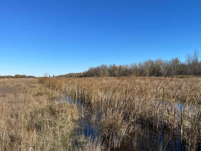 $78,400 | Tbd Tbd 380th Street, Newfolden, MN 56738