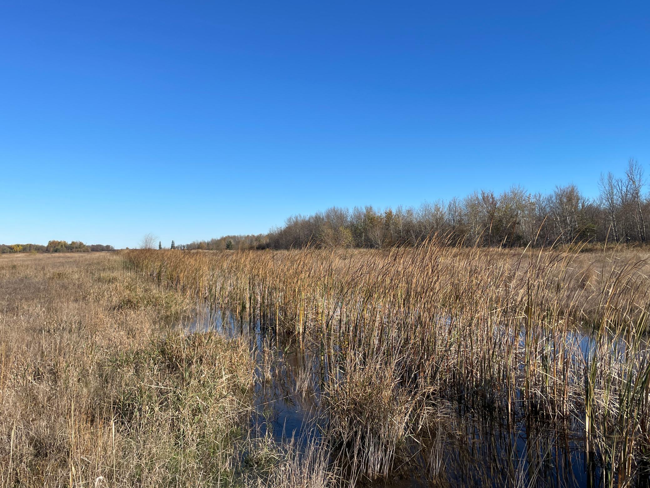 Tbd Tbd 380th Street Newfolden, MN 56738 - Photo 37 of 54