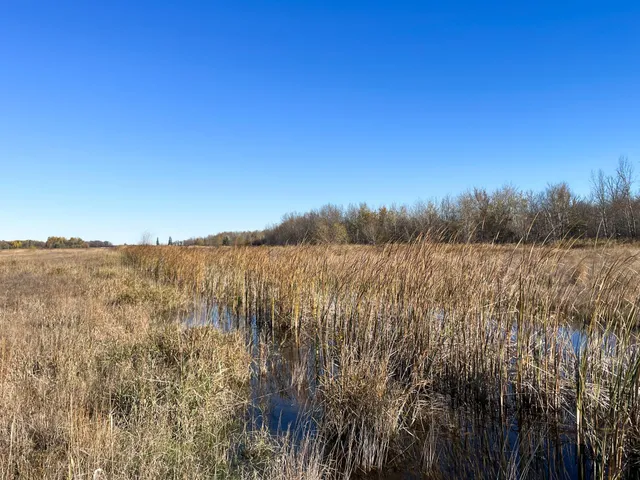 $78,400 | Tbd 380th Street Northwest, Newfolden, MN 56738