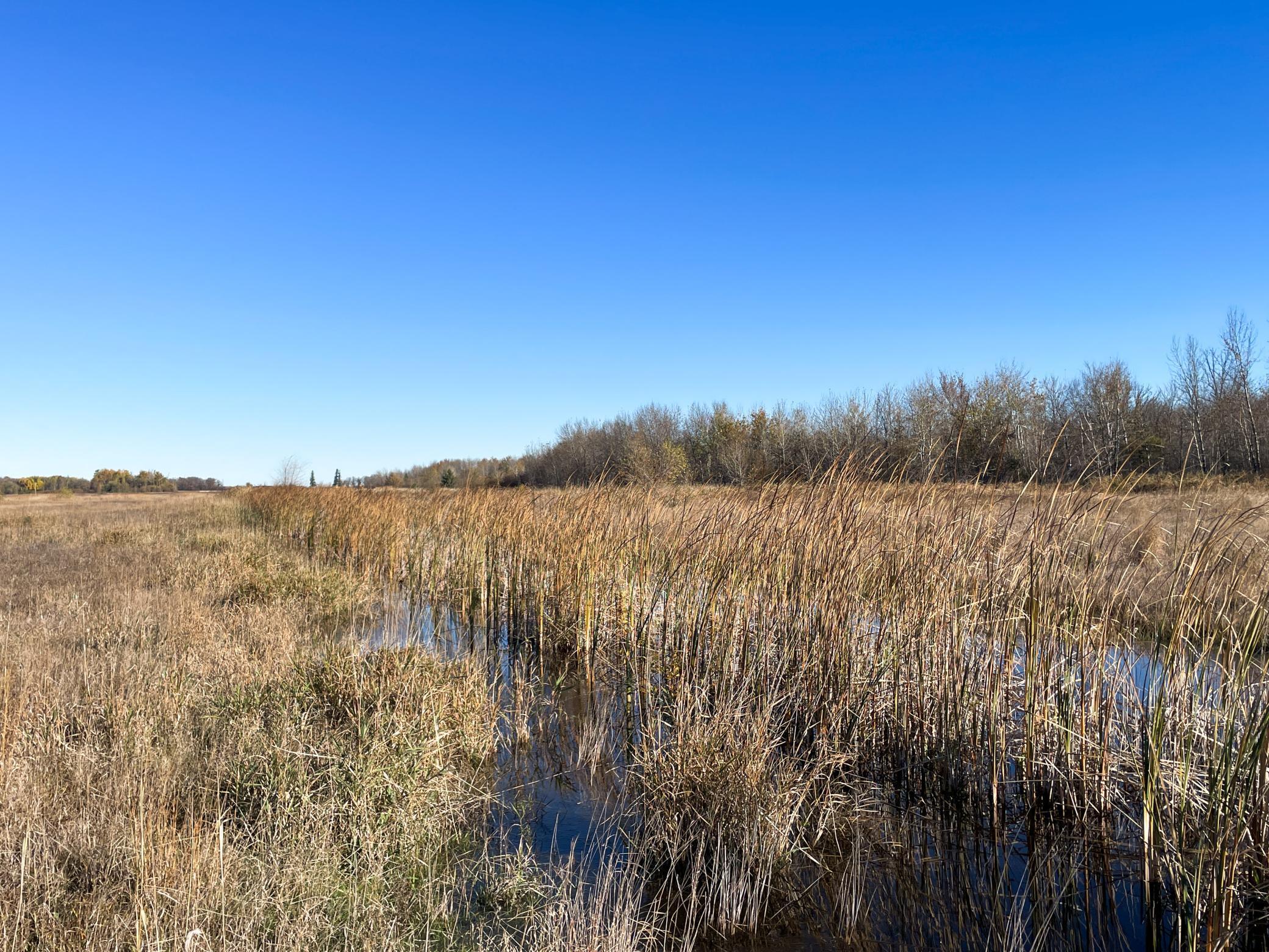 Tbd 380th Street Northwest Newfolden, MN 56738 - Photo 37 of 54