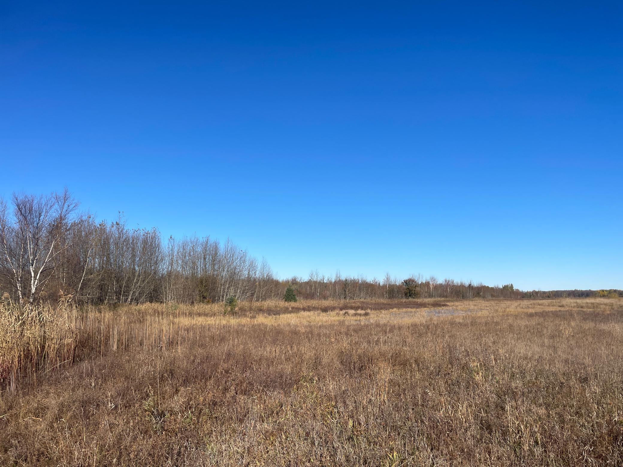 Tbd Tbd 380th Street Newfolden, MN 56738 - Photo 38 of 54