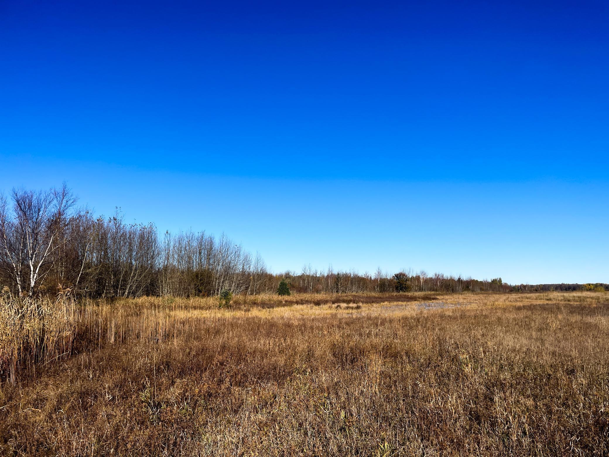 Tbd 380th Street Northwest Newfolden, MN 56738 - Photo 38 of 54