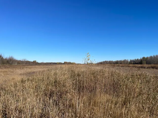 $78,400 | Tbd Tbd 380th Street, Newfolden, MN 56738