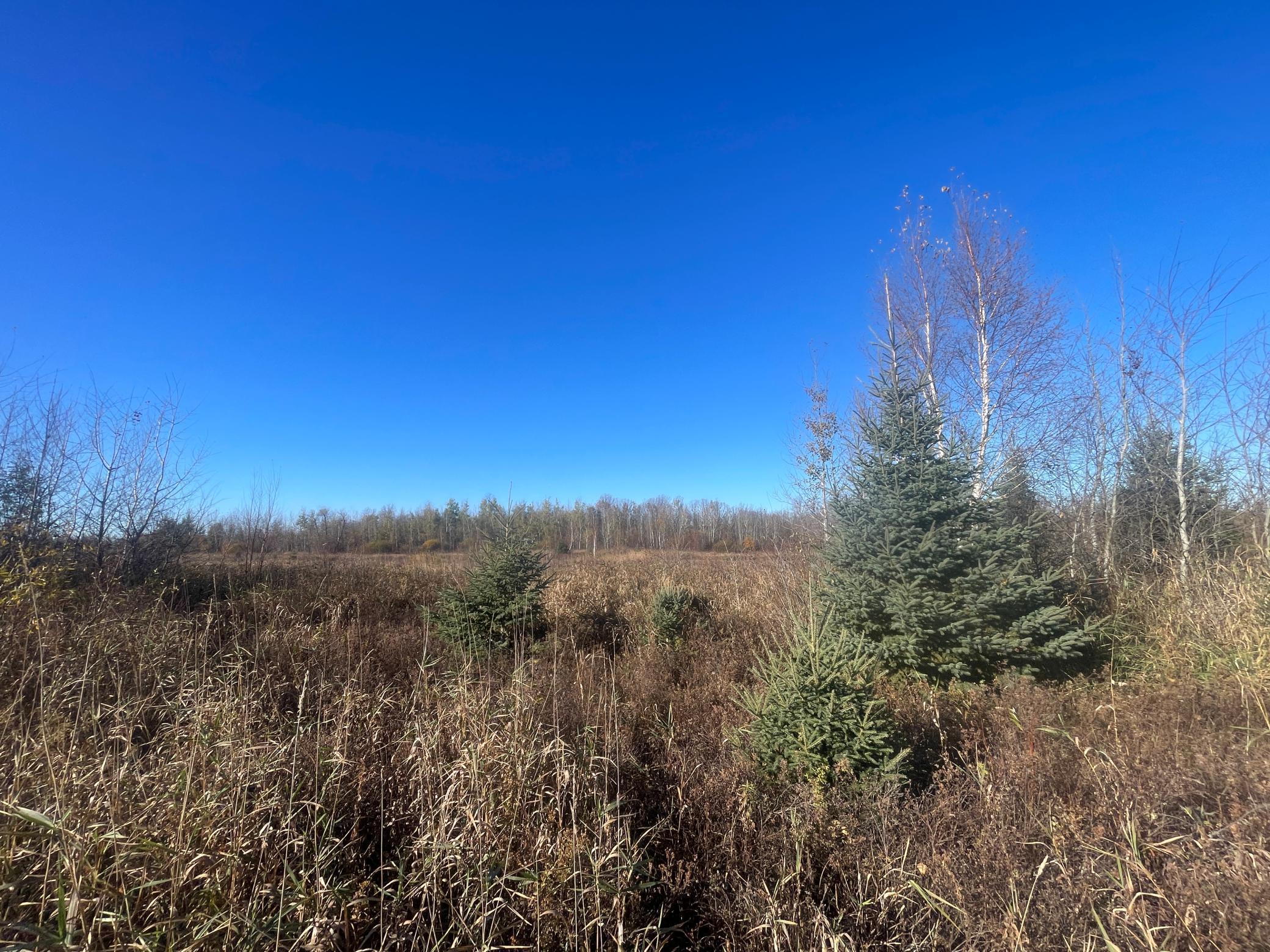 Tbd Tbd 380th Street Newfolden, MN 56738 - Photo 41 of 54