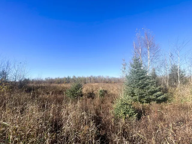 $78,400 | Tbd 380th Street Northwest, Newfolden, MN 56738
