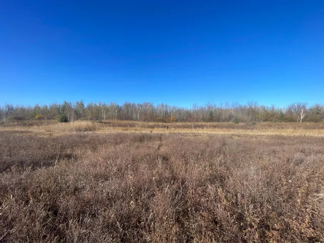 $78,400 | Tbd Tbd 380th Street, Newfolden, MN 56738