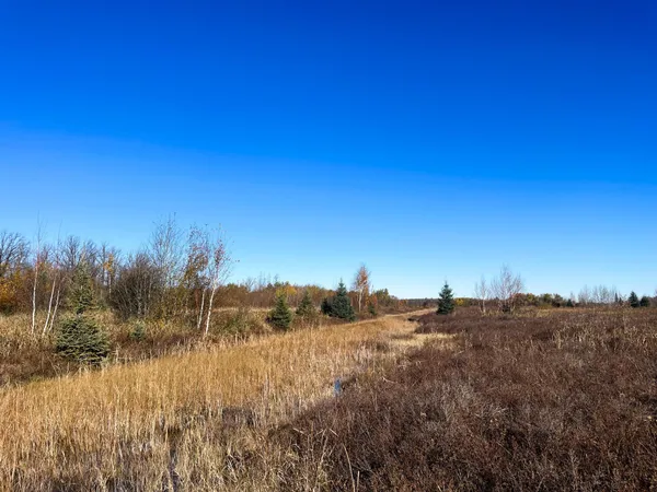 $78,400 | Tbd 380th Street Northwest, Newfolden, MN 56738