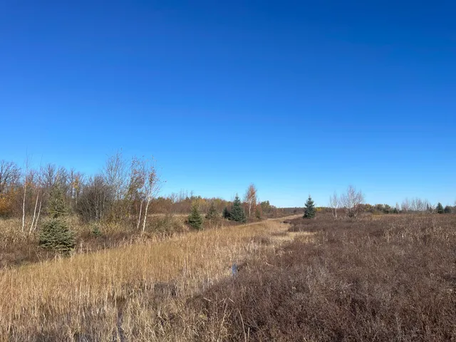 $78,400 | Tbd Tbd 380th Street, Newfolden, MN 56738