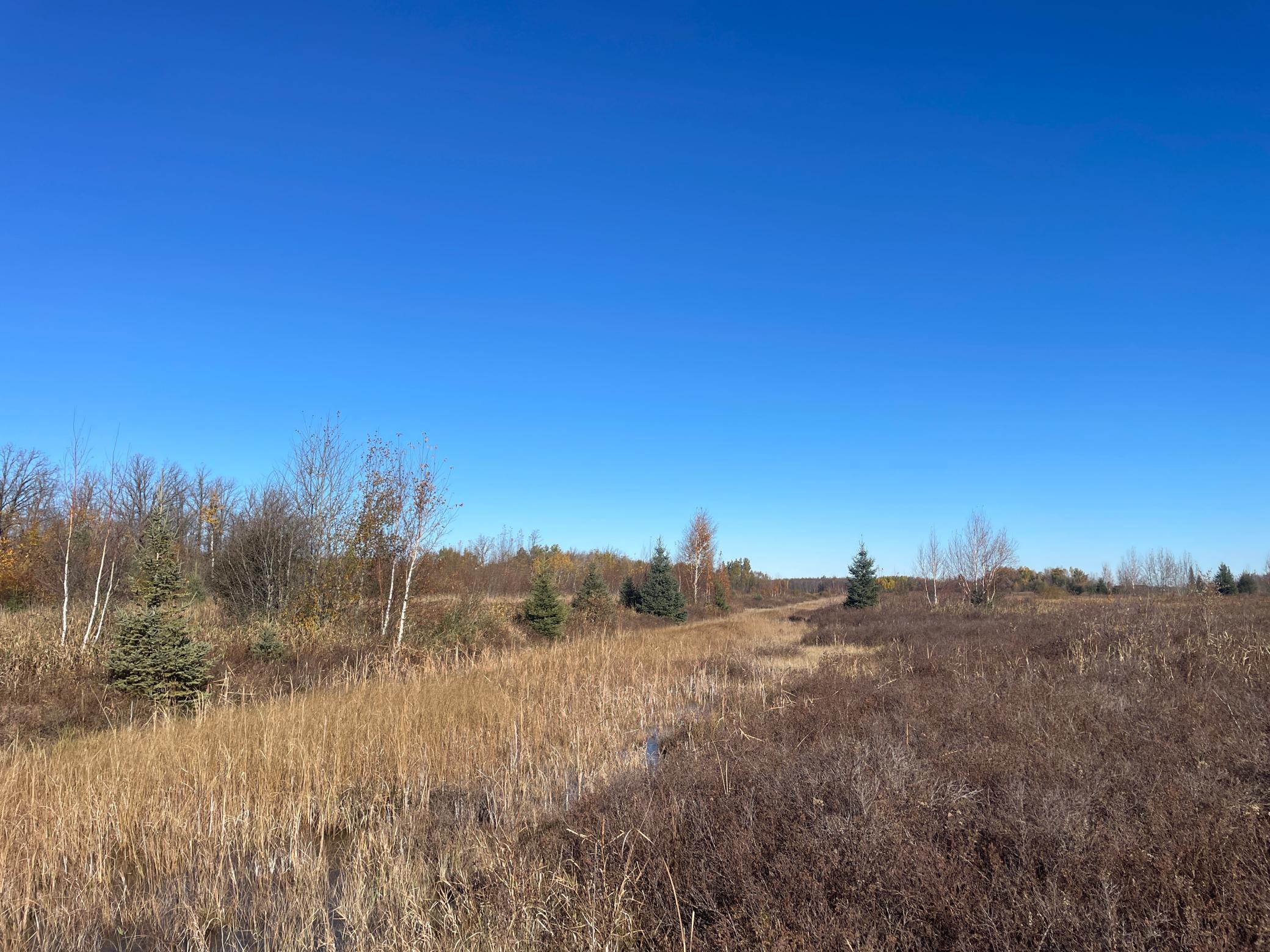 Tbd Tbd 380th Street Newfolden, MN 56738 - Photo 43 of 54