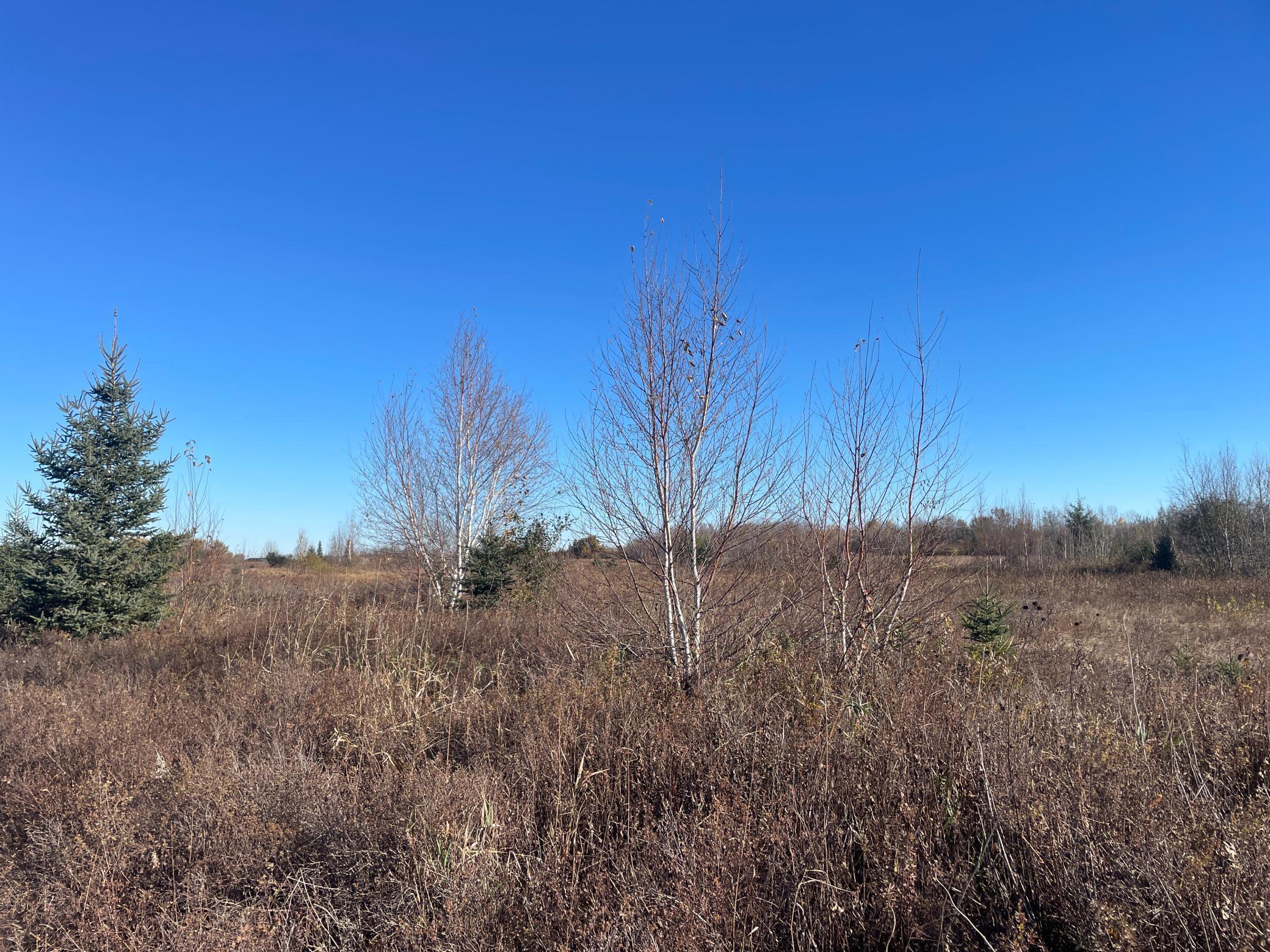 Tbd Tbd 380th Street Newfolden, MN 56738 - Photo 44 of 54