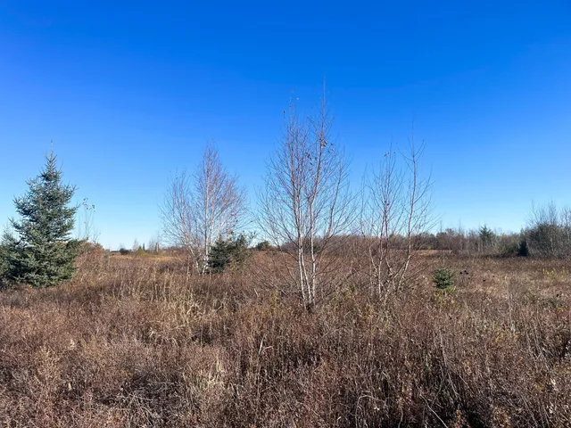 $78,400 | Tbd 380th Street Northwest, Newfolden, MN 56738