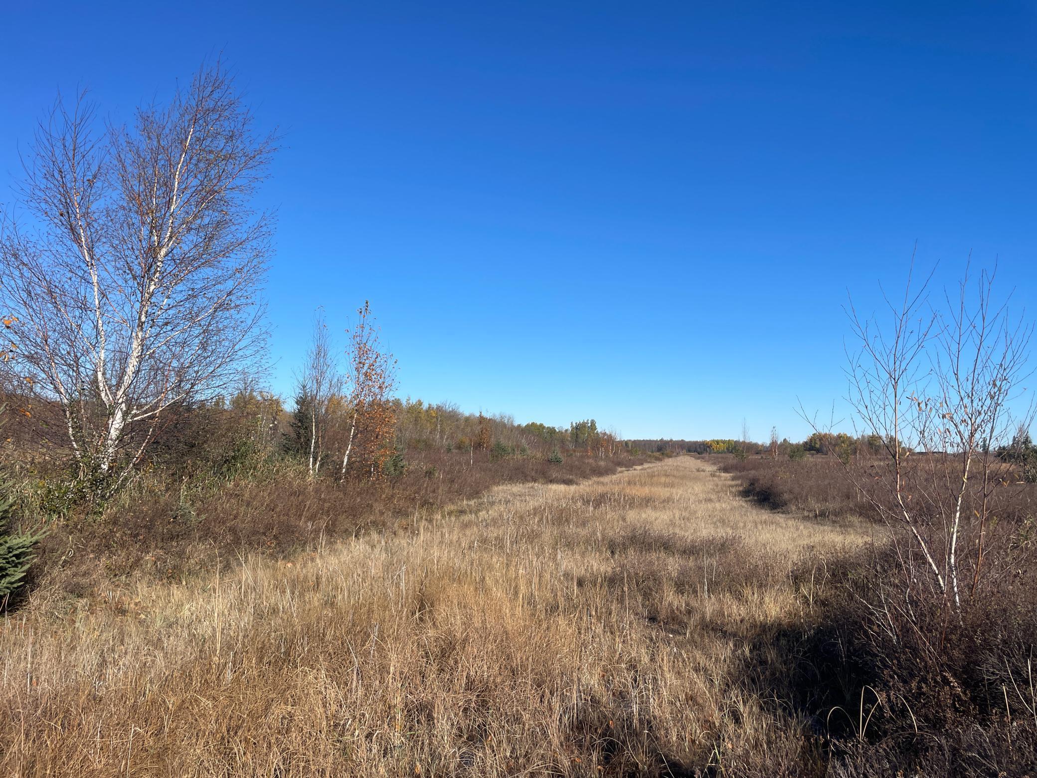 Tbd Tbd 380th Street Newfolden, MN 56738 - Photo 45 of 54