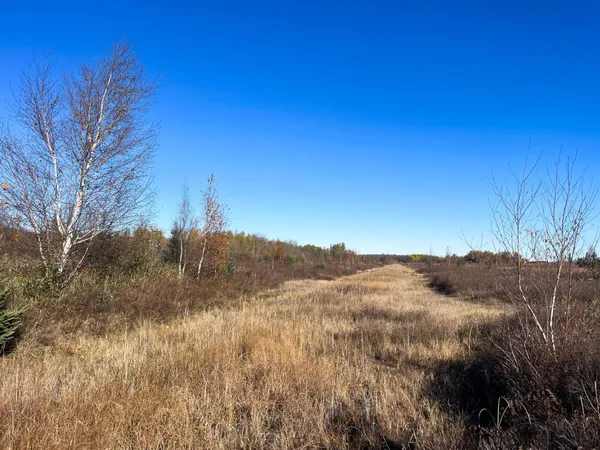 $78,400 | Tbd 380th Street Northwest, Newfolden, MN 56738