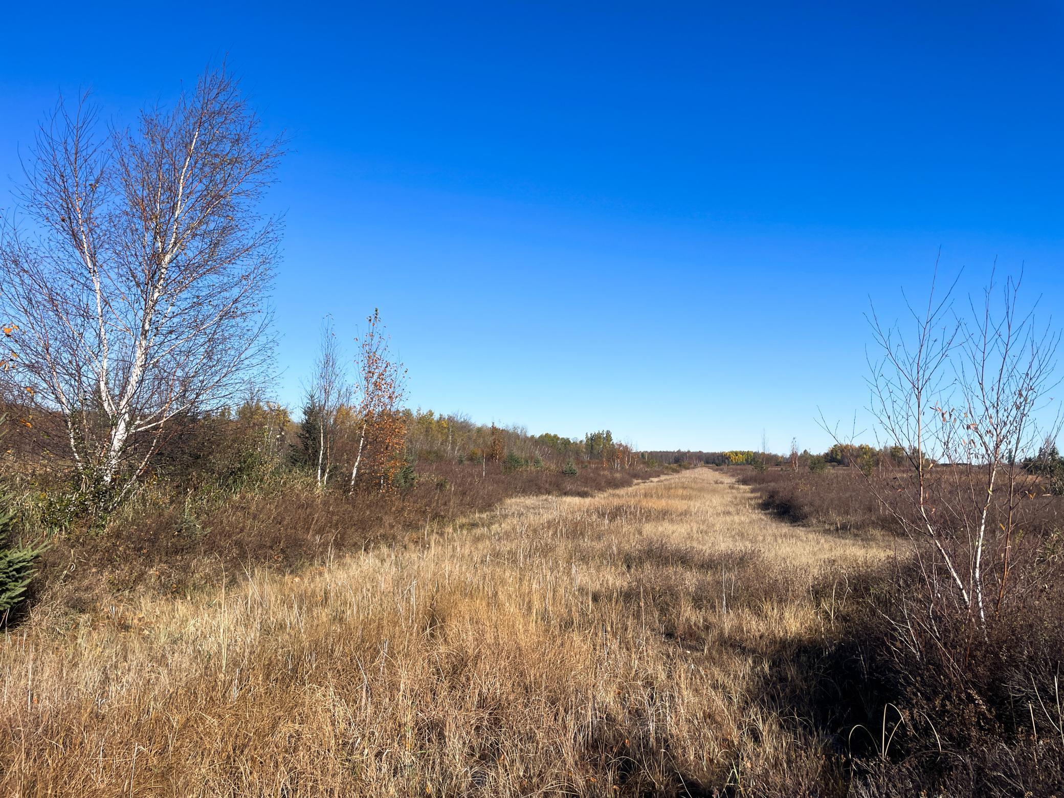 Tbd 380th Street Northwest Newfolden, MN 56738 - Photo 45 of 54