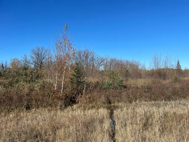 $78,400 | Tbd Tbd 380th Street, Newfolden, MN 56738