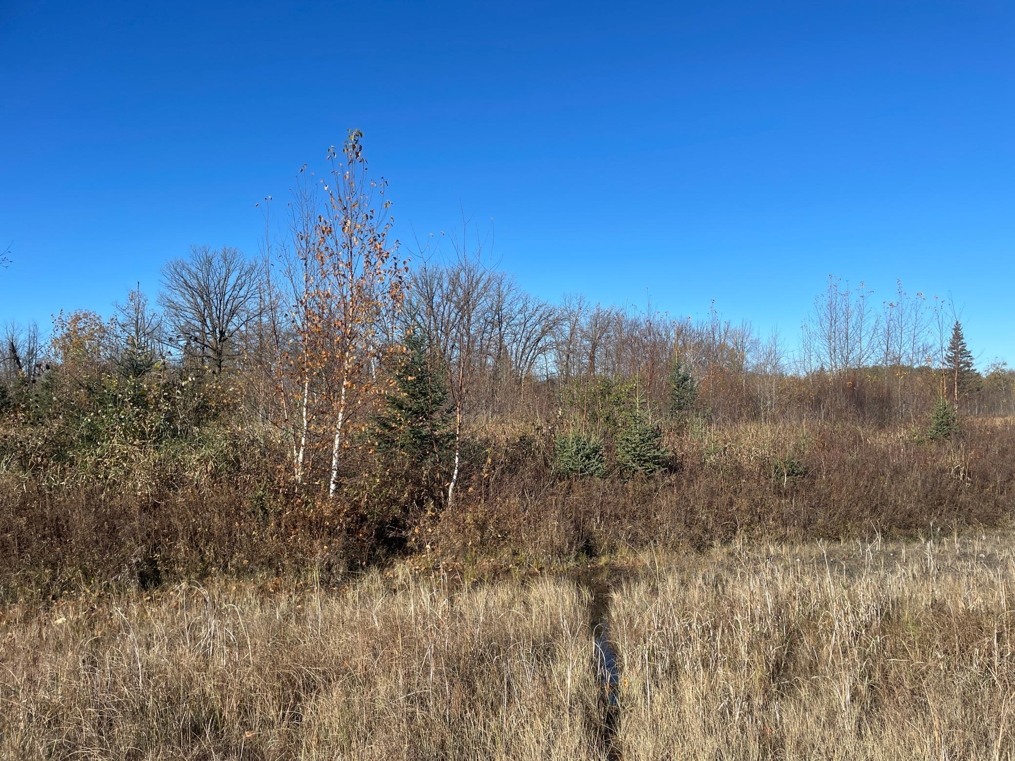 Tbd Tbd 380th Street Newfolden, MN 56738 - Photo 46 of 54