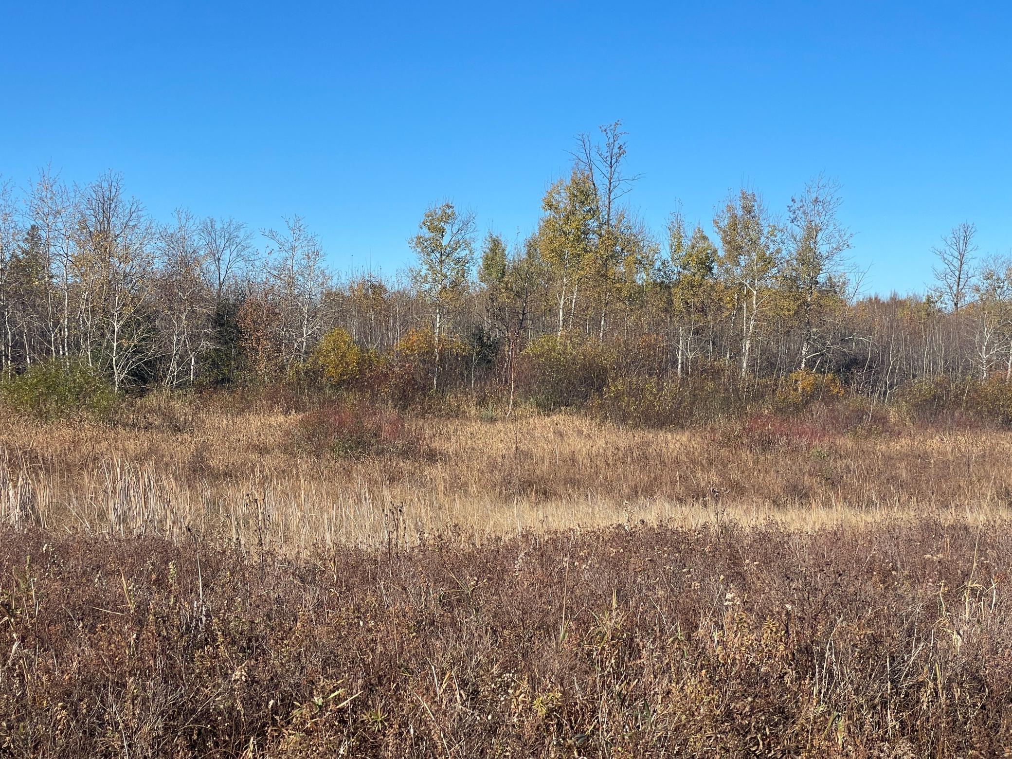 Tbd Tbd 380th Street Newfolden, MN 56738 - Photo 47 of 54