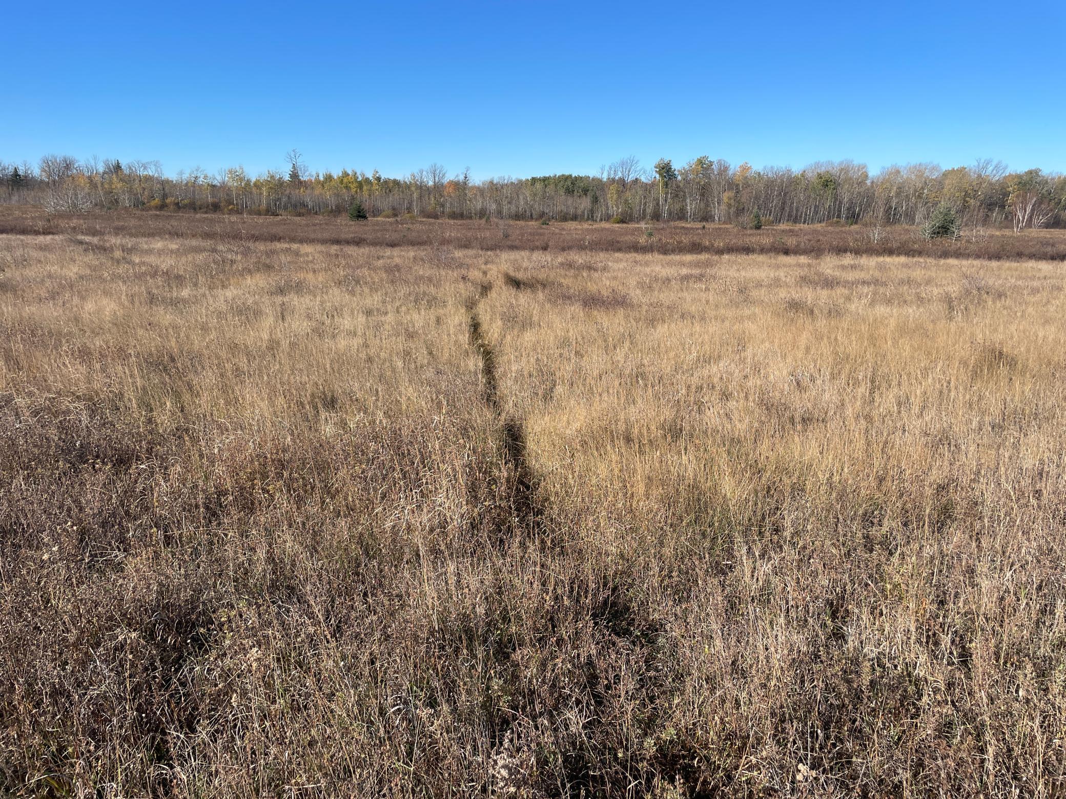 Tbd Tbd 380th Street Newfolden, MN 56738 - Photo 48 of 54