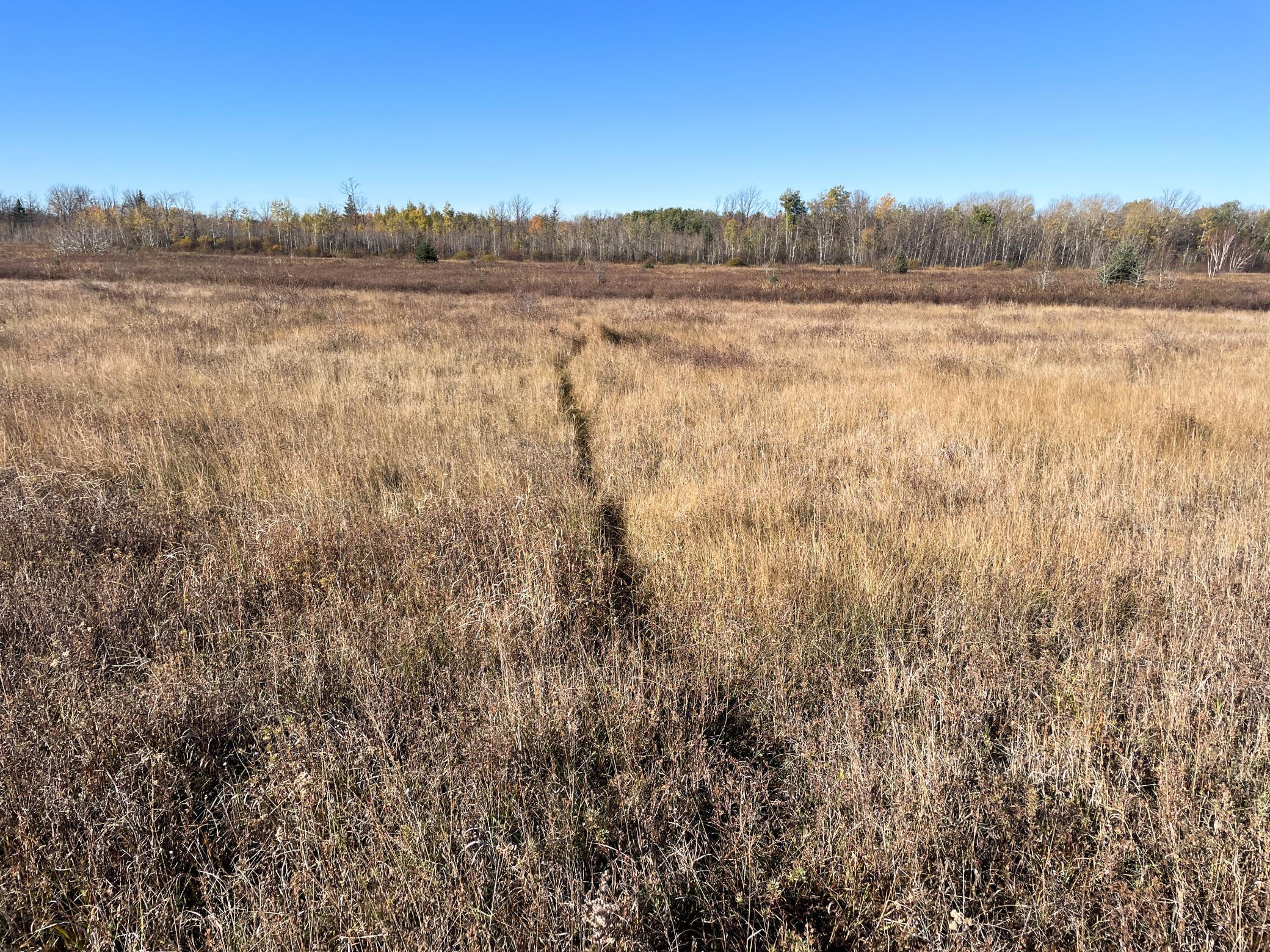 Tbd 380th Street Northwest Newfolden, MN 56738 - Photo 48 of 54