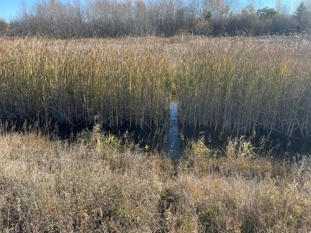 $78,400 | Tbd Tbd 380th Street, Newfolden, MN 56738