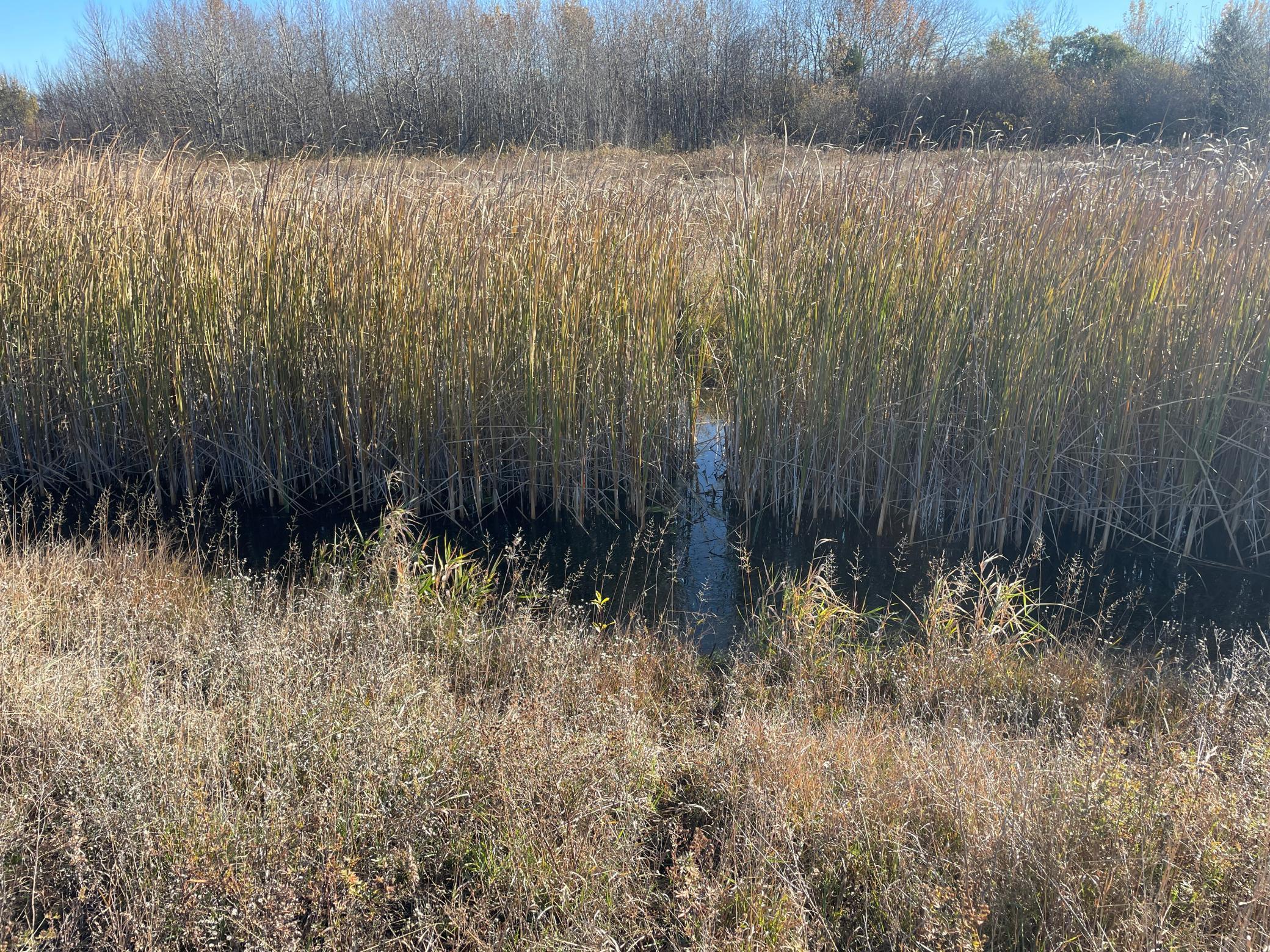 Tbd Tbd 380th Street Newfolden, MN 56738 - Photo 49 of 54