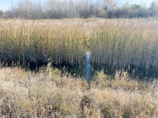 $78,400 | Tbd 380th Street Northwest, Newfolden, MN 56738