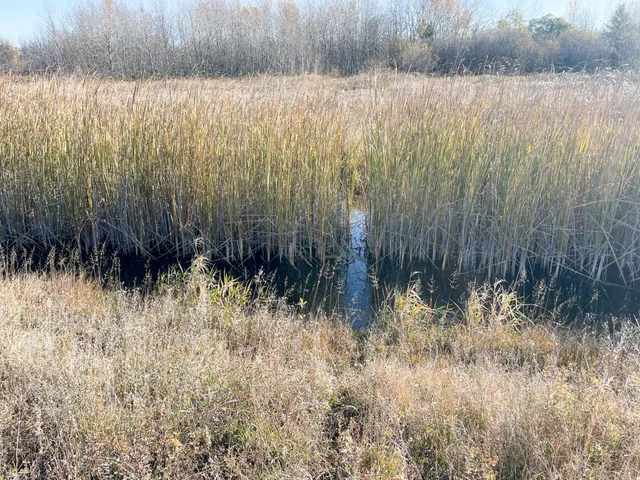 $78,400 | Tbd 380th Street Northwest, Newfolden, MN 56738