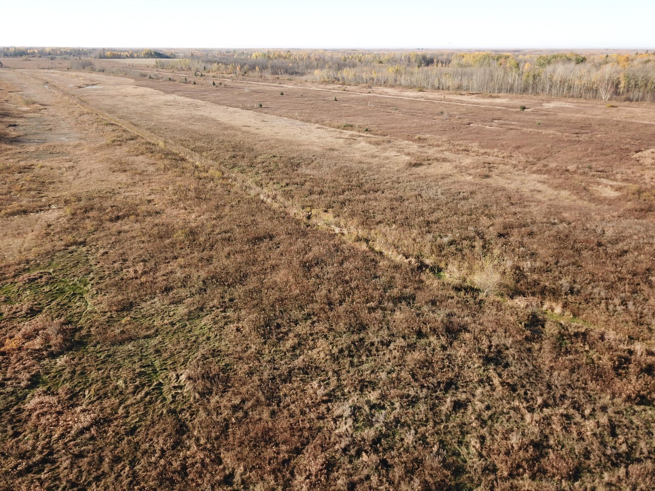 Tbd 380th Street Northwest Newfolden, MN 56738 - Photo 6 of 54
