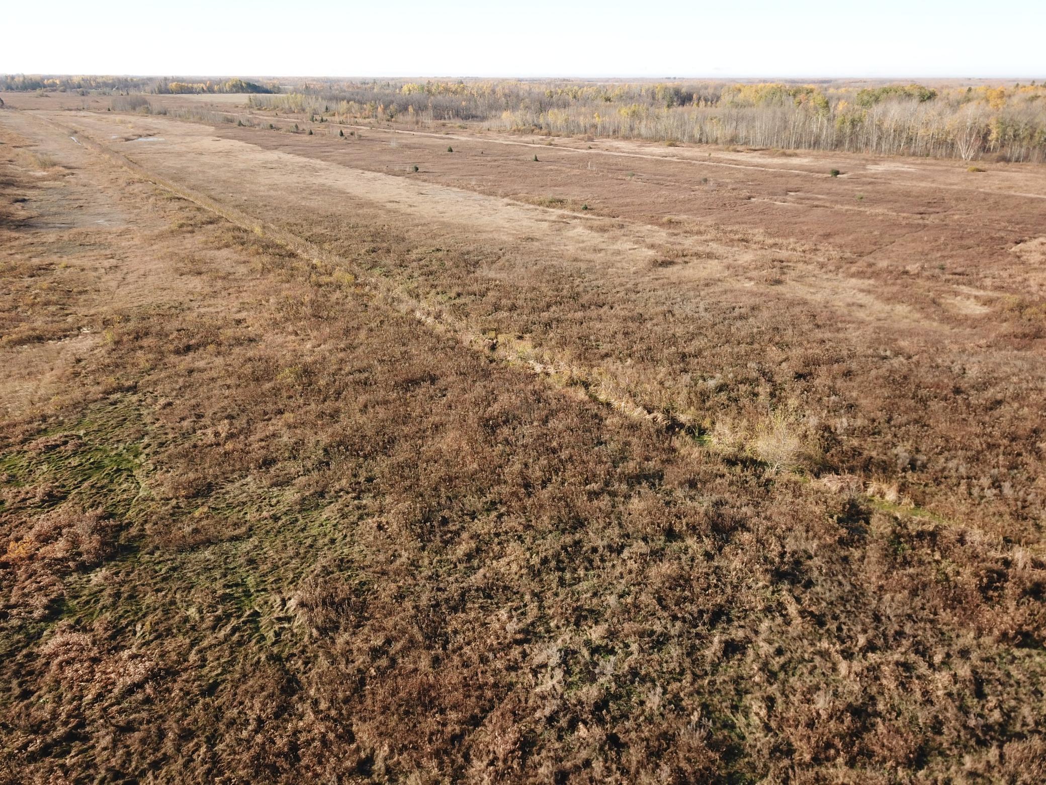 Tbd Tbd 380th Street Newfolden, MN 56738 - Photo 6 of 54