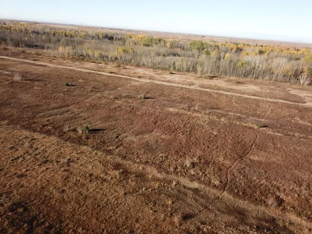 $78,400 | Tbd Tbd 380th Street, Newfolden, MN 56738