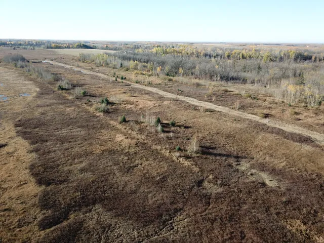 $78,400 | Tbd Tbd 380th Street, Newfolden, MN 56738