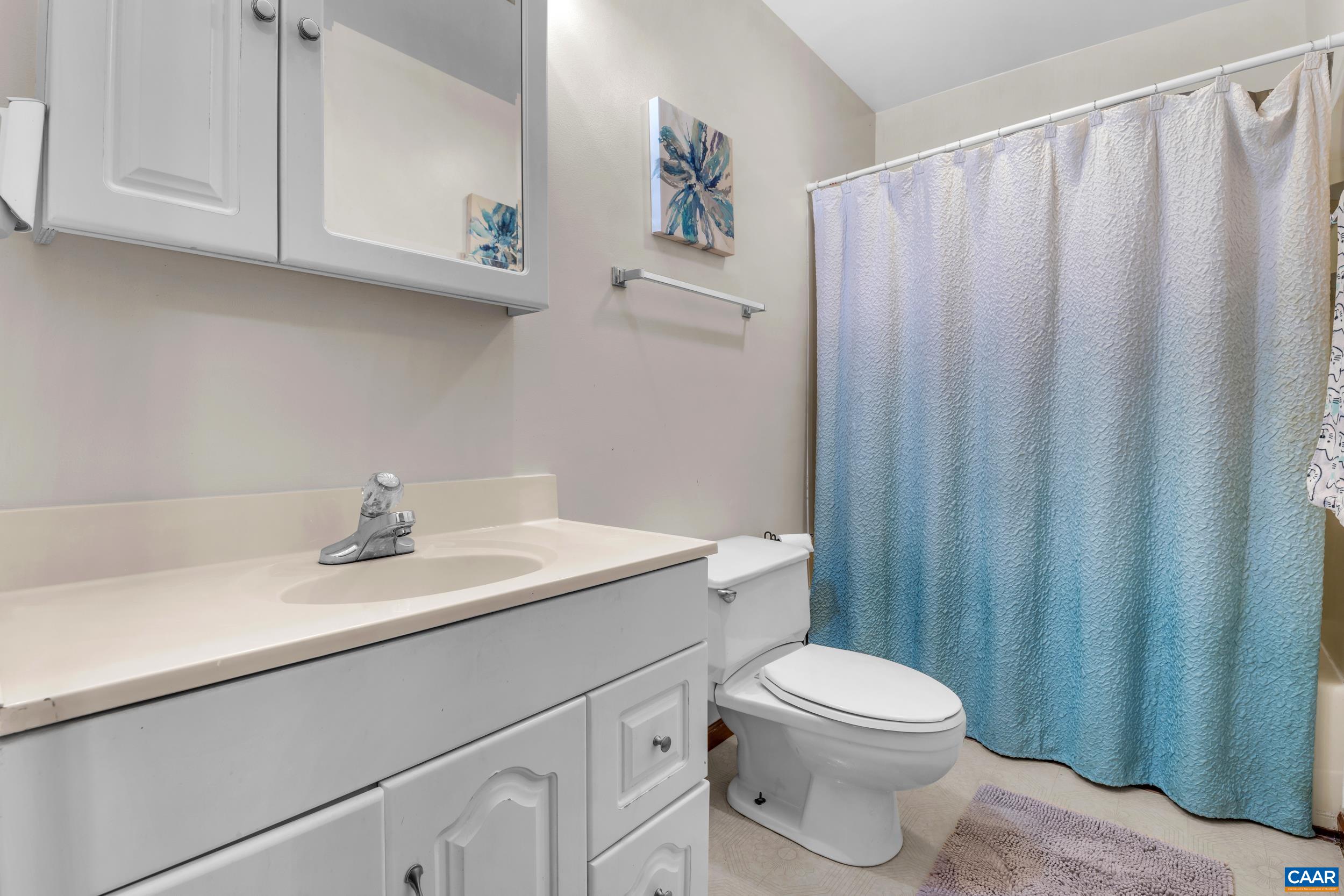 3101 Martin Kings Road Charlottesville, VA 22902 - Photo 51 of 60 a bathroom with a sink a toilet and vanity