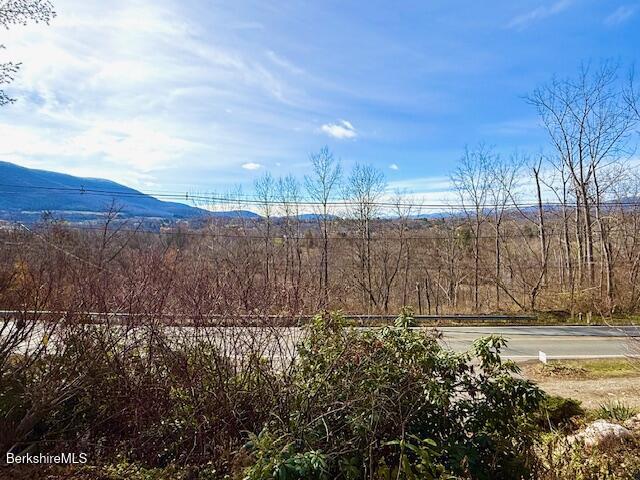 100 North Hoosac Road Williamstown, MA 01267 - Photo 22 of 25 a view of a yard with wooden fence