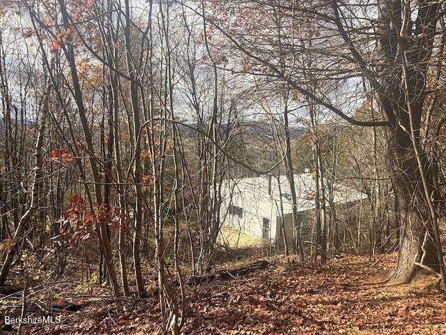 100 North Hoosac Road Williamstown, MA 01267 - Photo 23 of 25 a backyard of a house with lots of green space