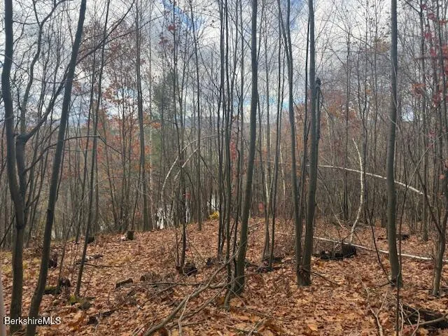 $274,500 | 100 North Hoosac Road, Williamstown, MA 01267