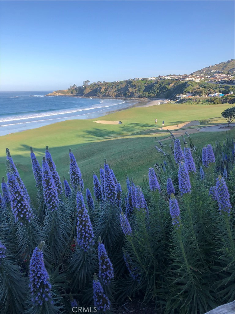 51 Santa Lucia Dana Point, CA 92629 - Photo 27 of 50 a view of a lake with a mountain