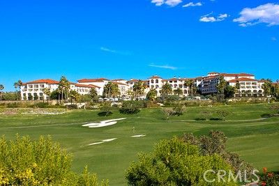 a view of a palm trees