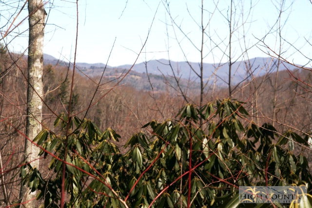 345 Locust Ridge Road Beech Mountain, NC 28604 - Photo 1 of 4