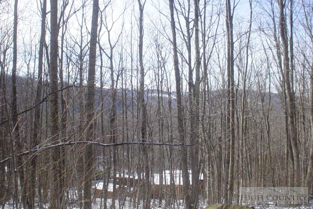 345 Locust Ridge Road Beech Mountain, NC 28604 - Photo 2 of 4