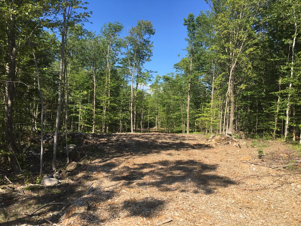 0 East Side Road Sanbornville, NH 03872 - Photo 3 of 5 Gallery Image 3