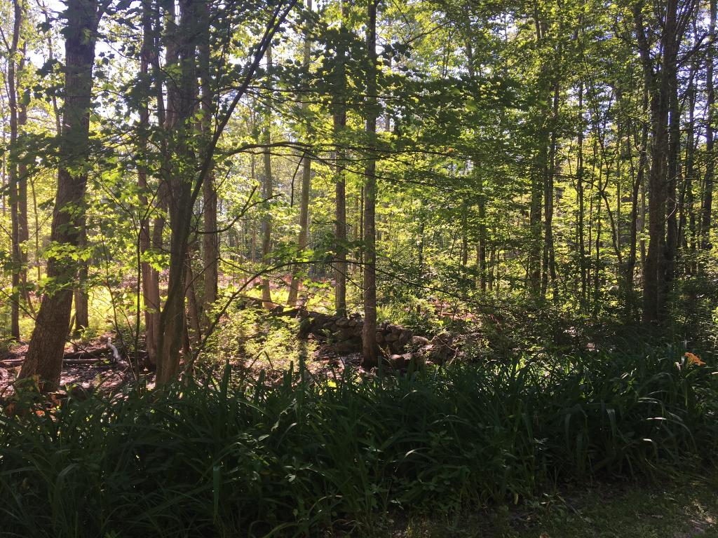 0 East Side Road Sanbornville, NH 03872 - Photo 4 of 5 Gallery Image 4