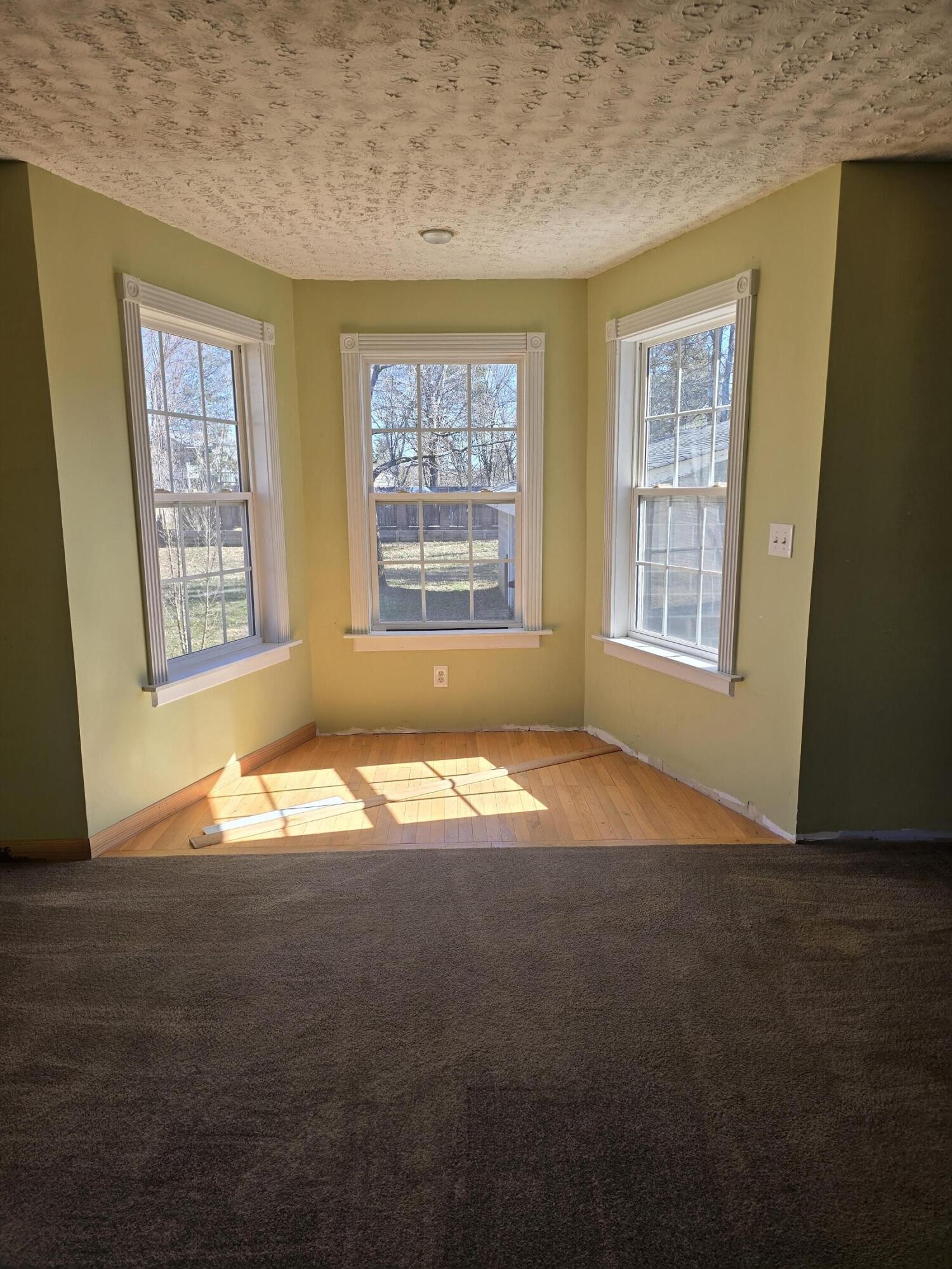 6063 Spring Place Road Southeast Cleveland, TN 37323 - Photo 31 of 44 an empty room with windows