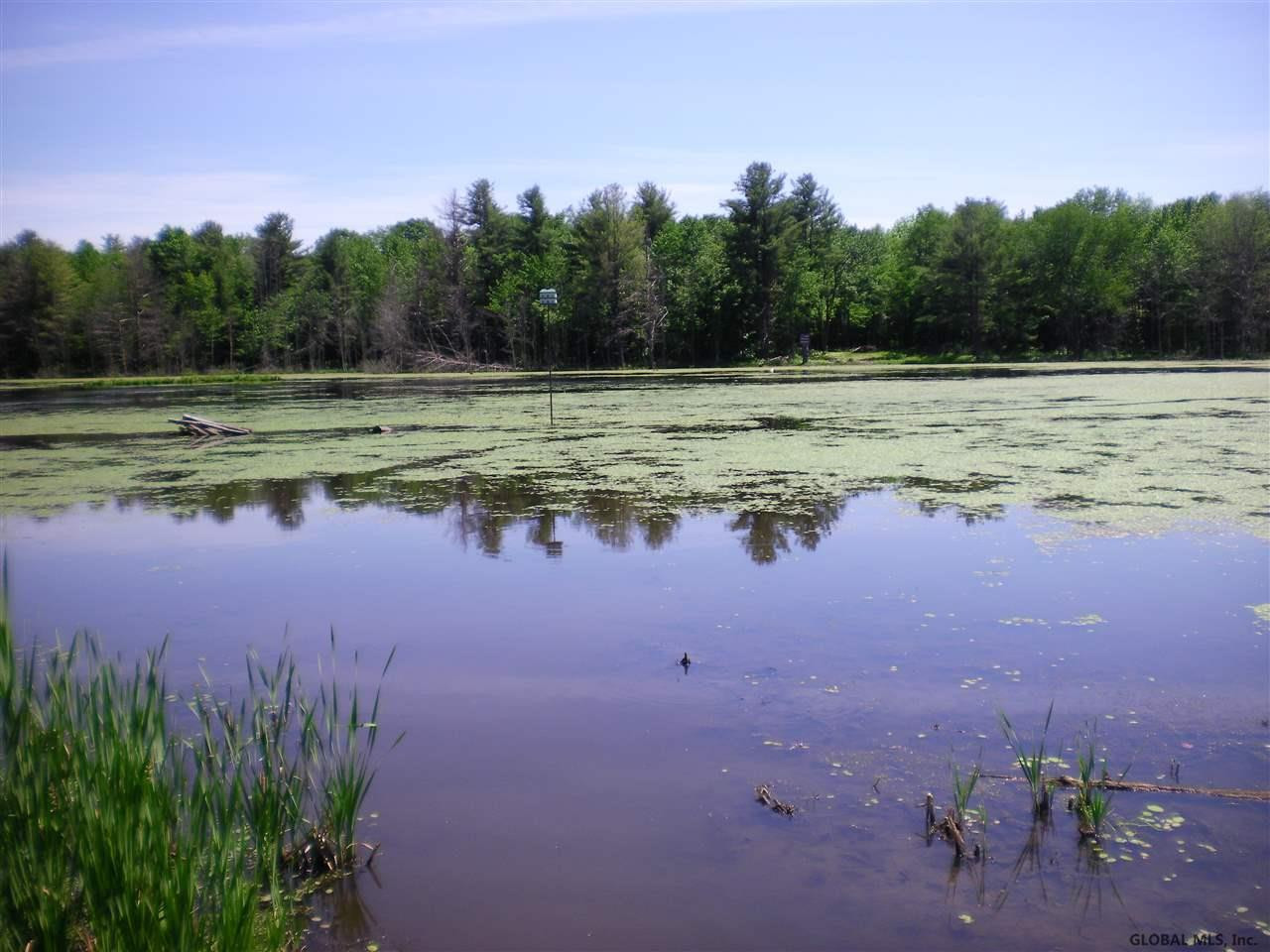 Thousand Acre Road Delanson, NY 12053 - Photo 3 of 7 Photo 3